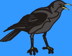 Raven
